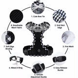 Dog Harness with 6.6-Ft Leash