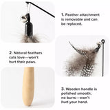 Detachable Feather Wand Cat Toy with Wooden Handle