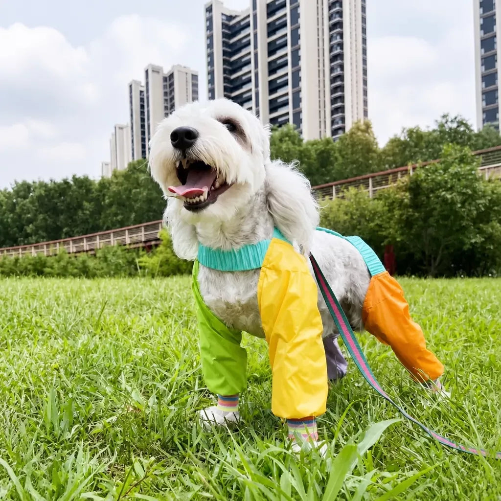 Four-Leg Dog Jumpsuit for Outdoor Wear