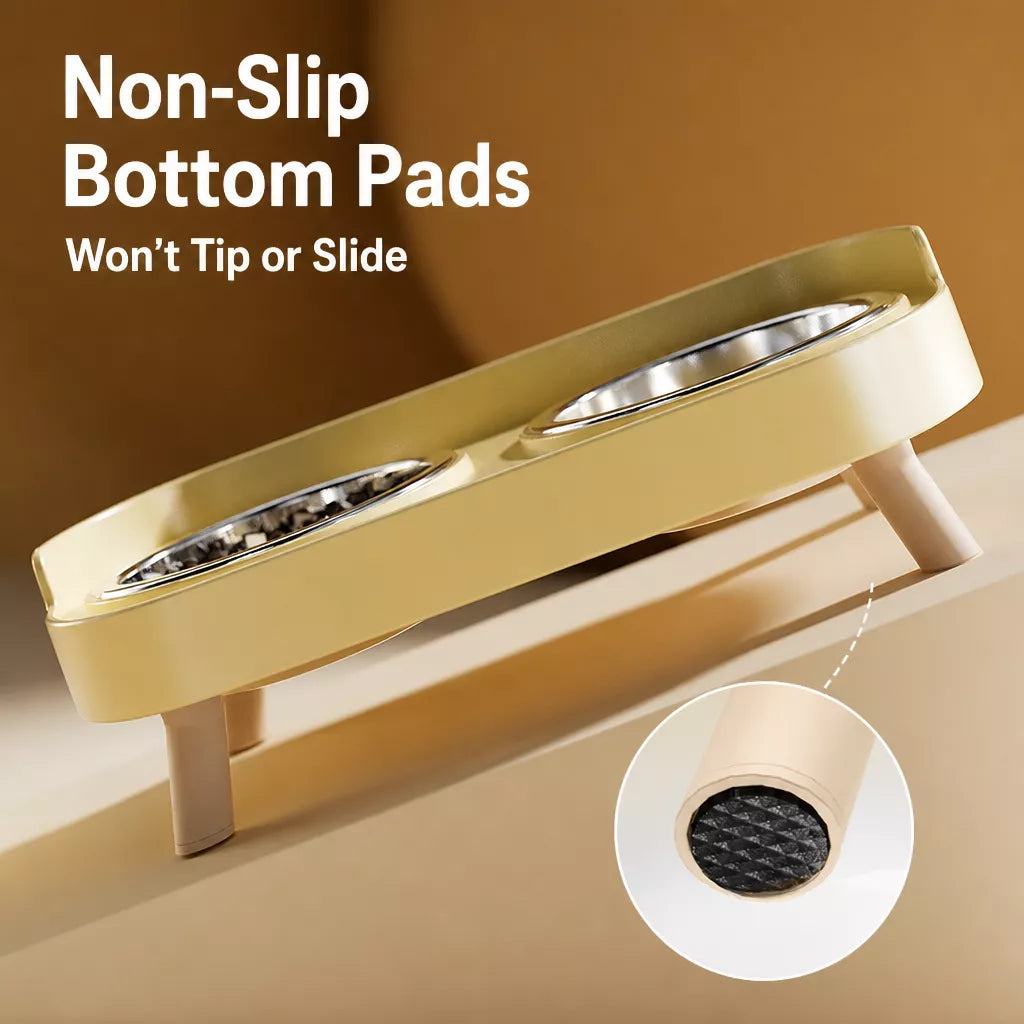 Stainless Steel Dog Bowl with Plastic Stand for Small Dogs