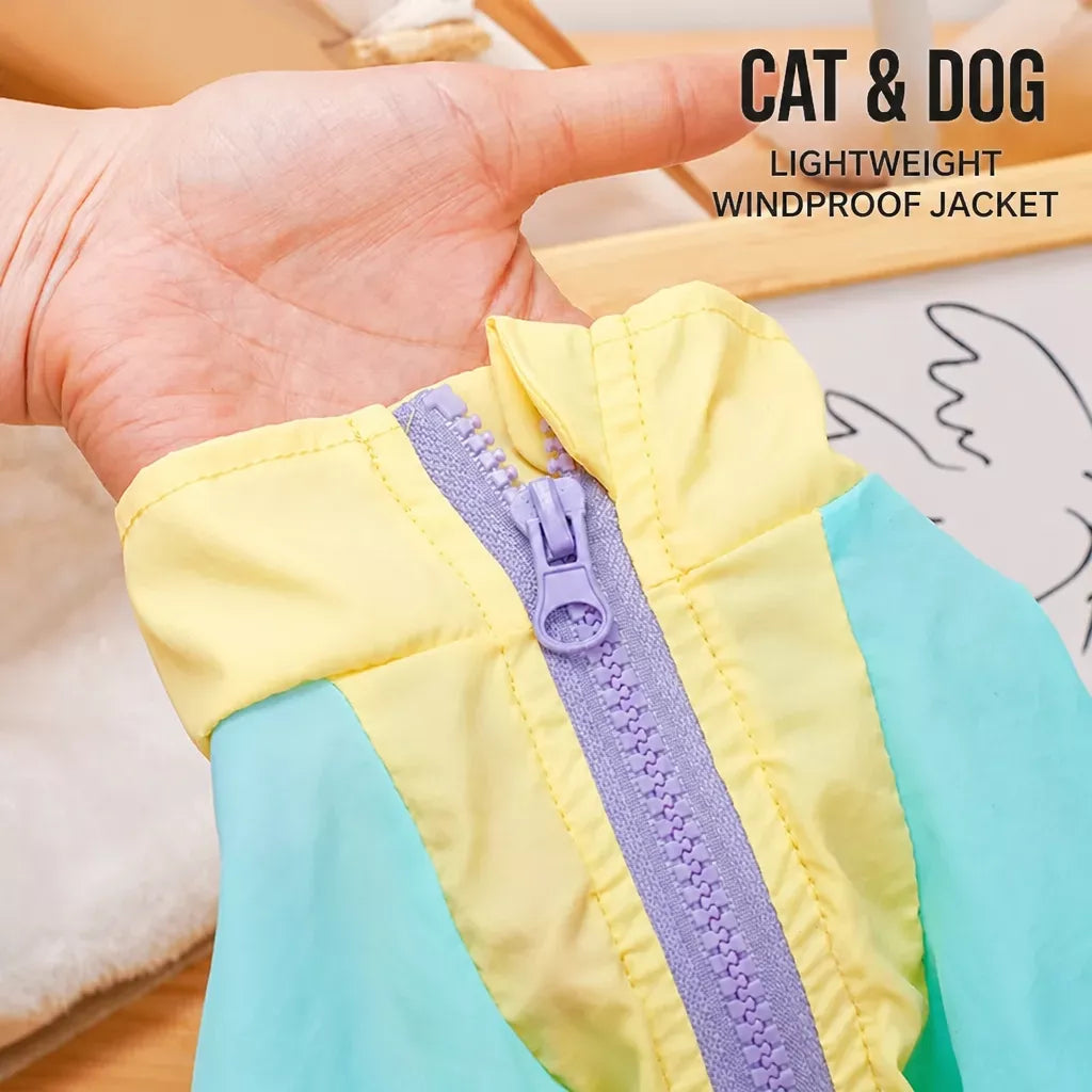 Four-Legged Dog Coat for Outdoor Wear