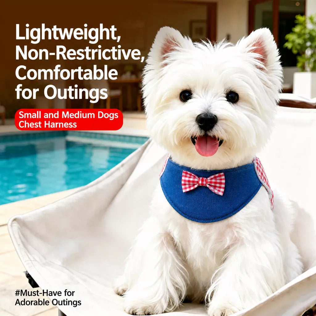 Dog Harness and Leash Set for Small to Medium Dogs