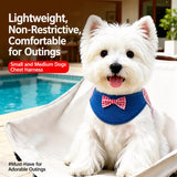 Dog Harness and Leash Set for Small to Medium Dogs