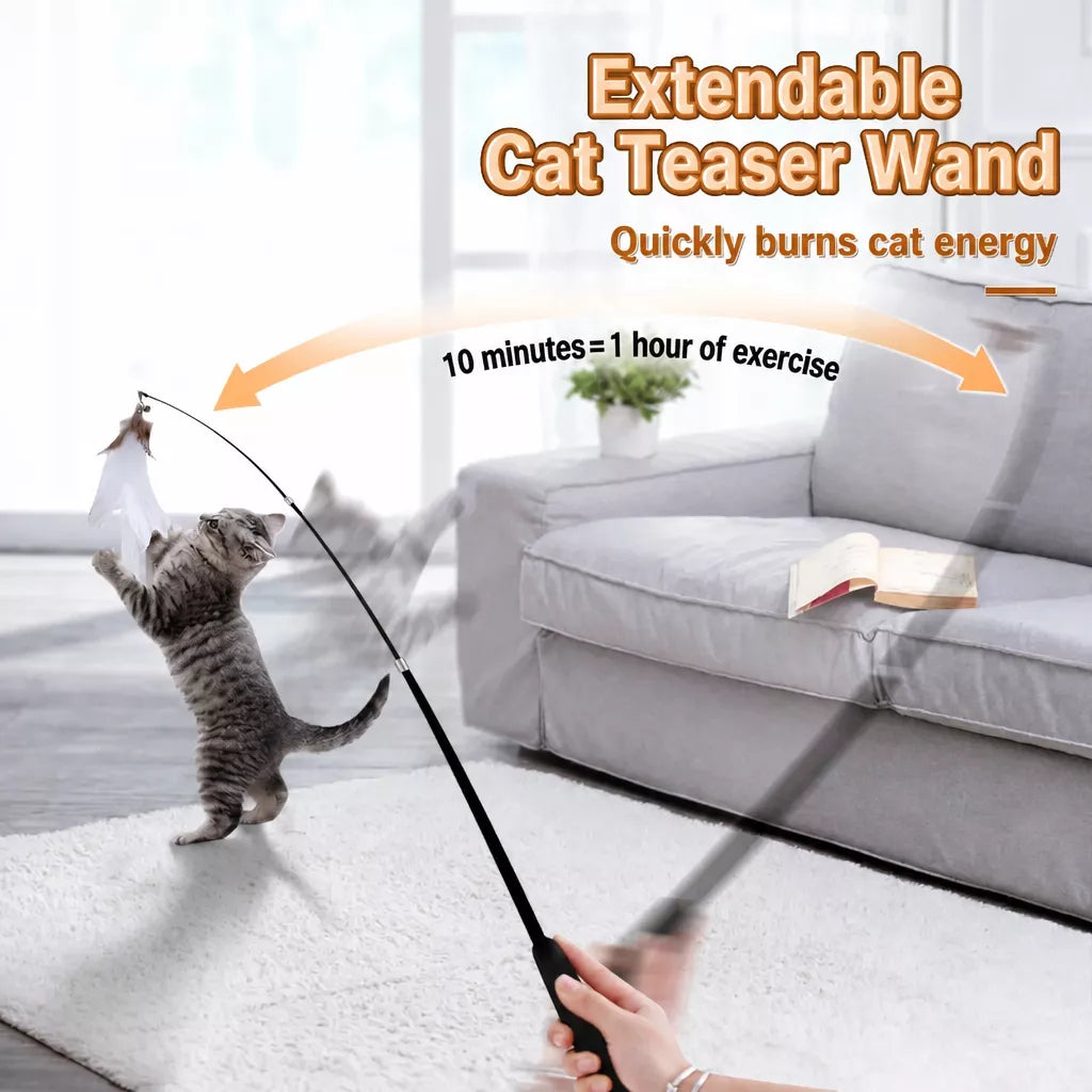 Cat Teaser Wand with Interchangeable Feather Attachments