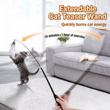 Cat Teaser Wand with Interchangeable Feather Attachments