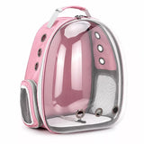 Transparent Pet Carrier Backpack for Cats and Small Dogs
