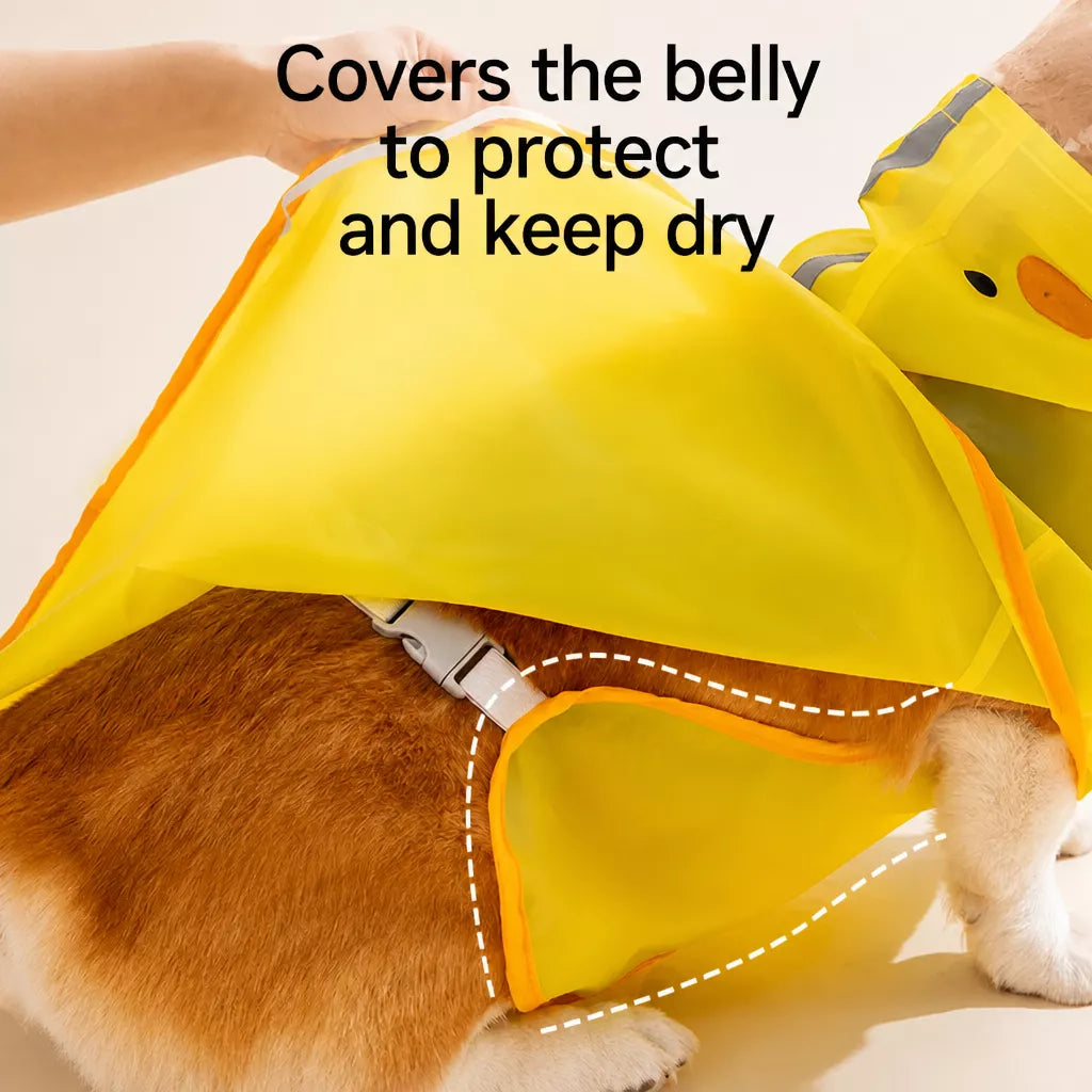 Waterproof Dog Raincoat for Small and Medium Breeds