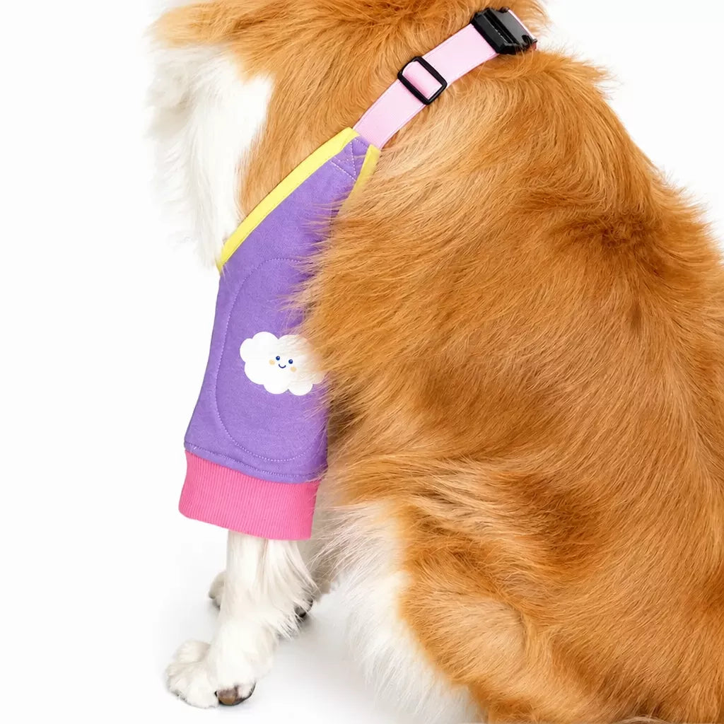 Dog Leg Cover for Year-Round Everyday Wear