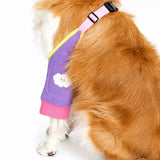 Dog Leg Cover for Year-Round Everyday Wear