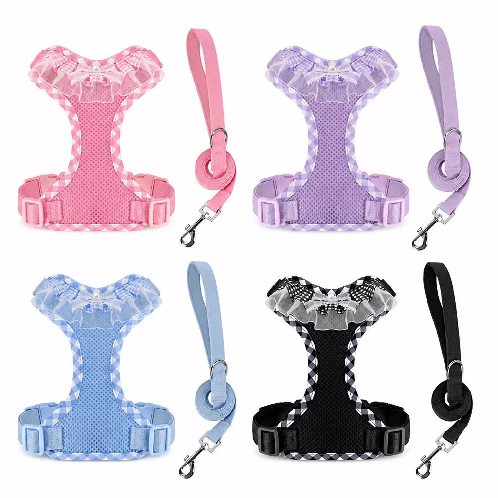 Dog Harness with 6.6-Ft Leash