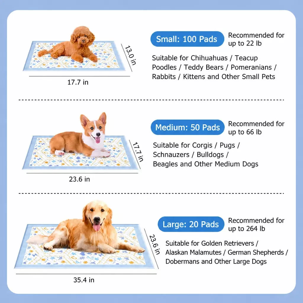 Absorbent Pet Training Pads with a Non-Woven Surface