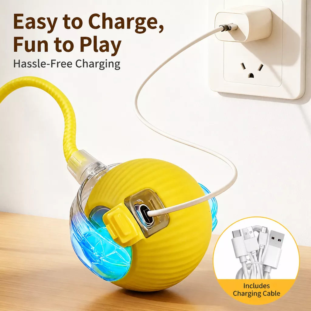 Interactive Cat Toy Ball