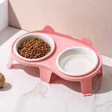 Elevated Double-Bowl Ceramic Cat Feeding Set