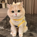 Lightweight Mesh Pet Vest for Cats and Small Dogs