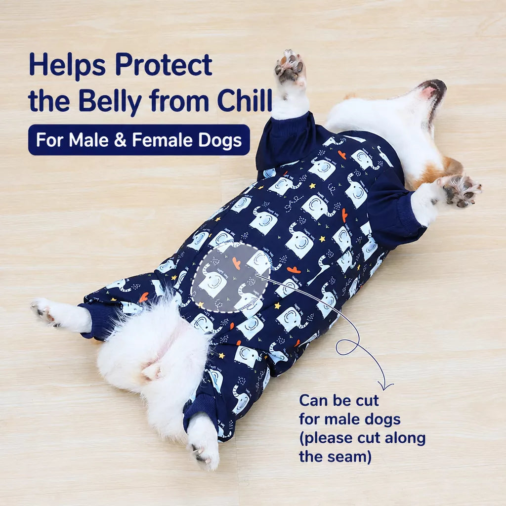 Waterproof Four-Leg Dog Raincoat with Belly Coverage