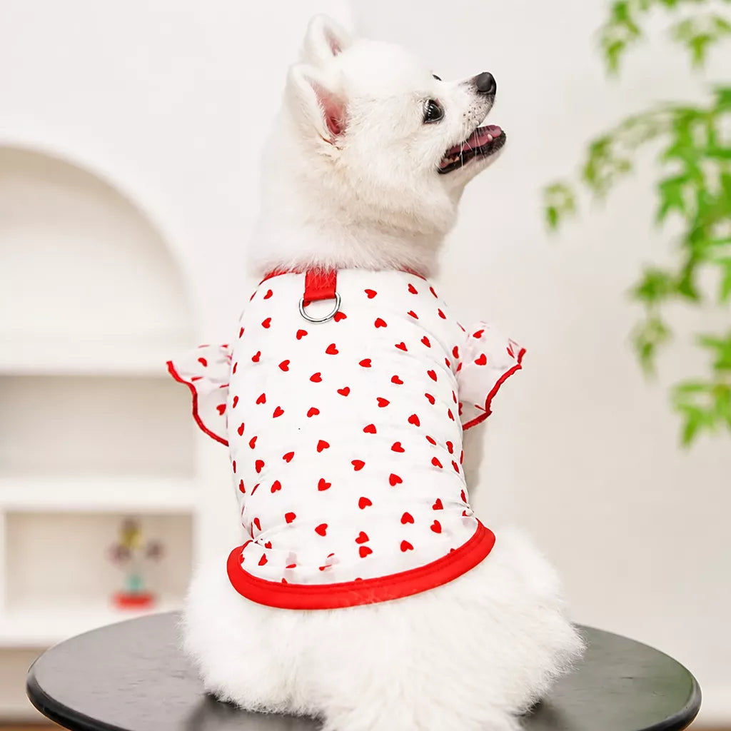 Lightweight Mesh Pet Shirt for Dogs and Cats