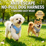 Dog Harness and Leash Set for Small to Medium Dogs