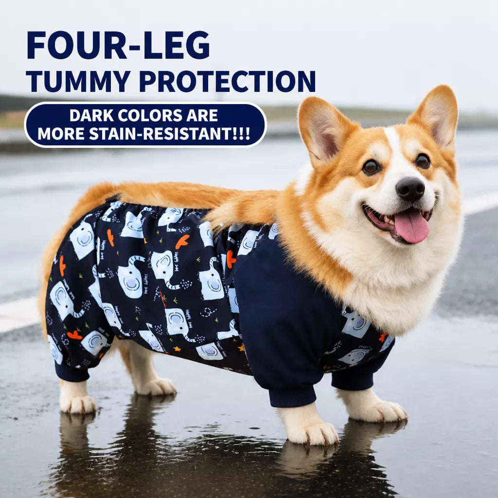 Dog Outdoor Rainwear