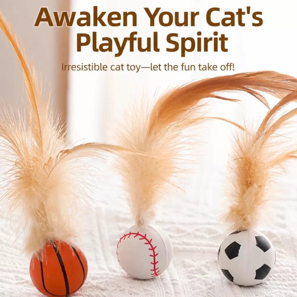 Cat Ball Toy with Feather Details