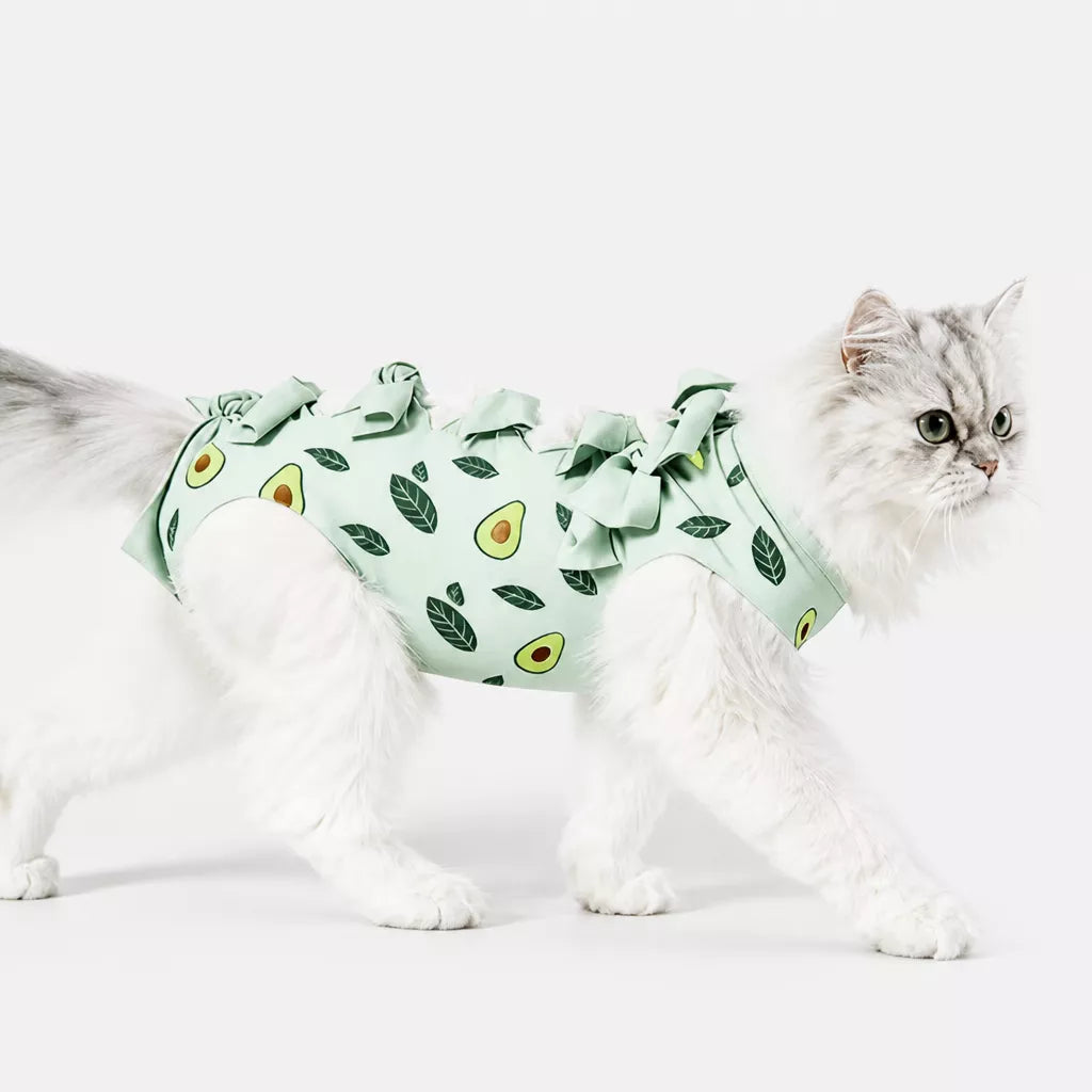Cat Recovery Suit with Breathable Birdseye Mesh