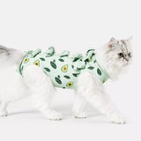 Cat Recovery Suit with Breathable Birdseye Mesh