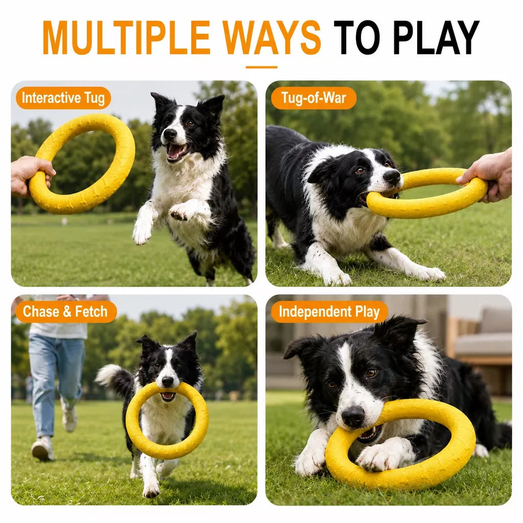 Silicone Dog Ring Toy for Fetch and Tug Play
