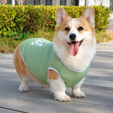 Lightweight Nylon Dog Vest for Everyday Wear