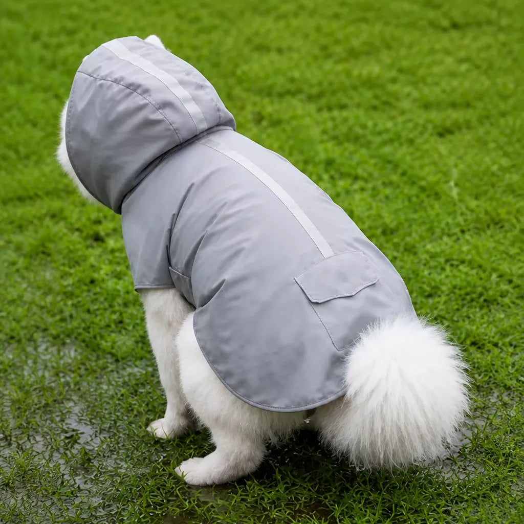 Dog Raincoat for Rainy-Day Walks