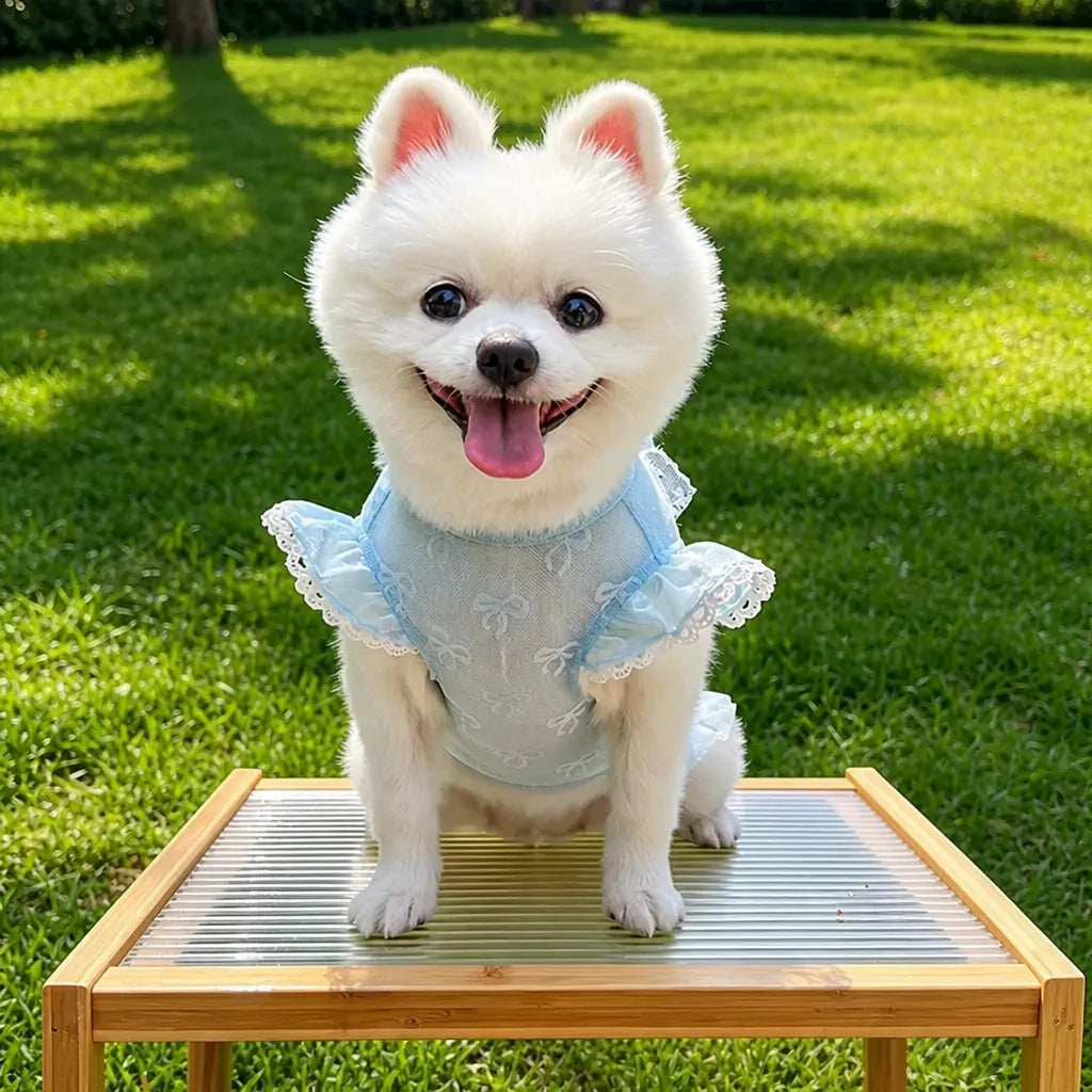 Lightweight Mesh Bow Pet Shirt with Leash Opening for Dogs & Cats