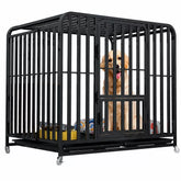 Indoor Iron Dog Crate with Tray and Locking Casters