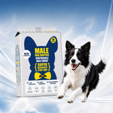 Dog Diaper Pants for Male and Female Dogs