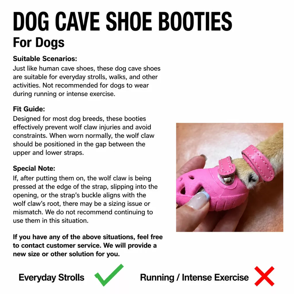 Dog Clog-Style Shoes for Outdoor Walks
