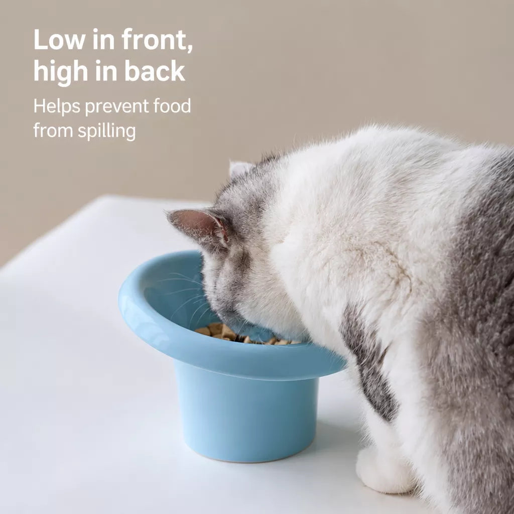 Wide-Opening Ceramic Pet Bowl for Cats and Dogs
