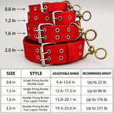 Nylon Dog Collar for Small to Large Dogs