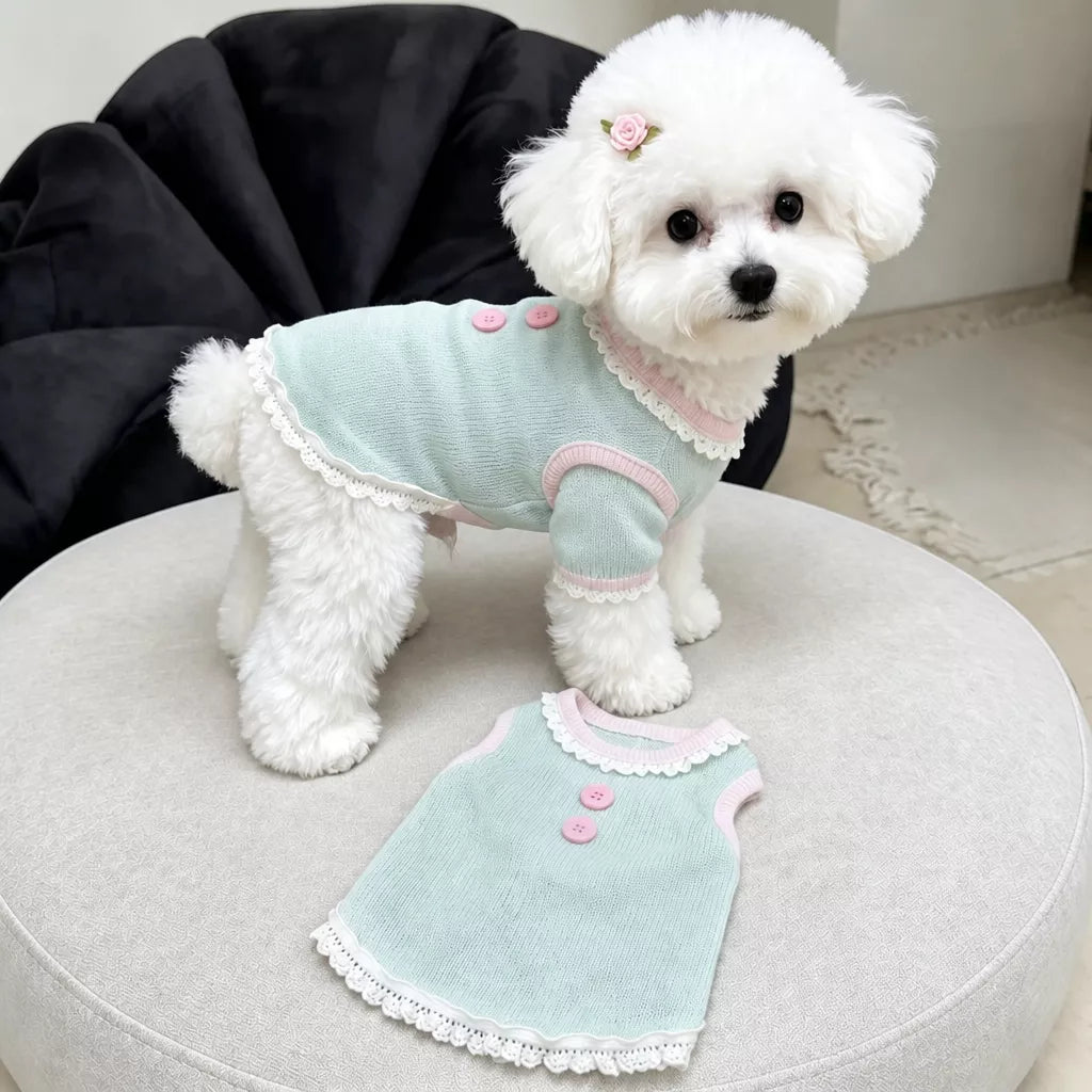 Pet Tank Tops and Strappy Dresses
