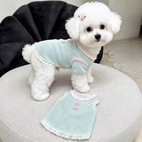 Pet Tank Tops and Strappy Dresses