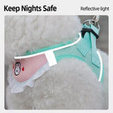 Nylon Dog & Cat Harness and Leash for Everyday Walks
