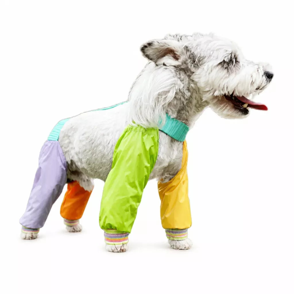 Four-Leg Dog Jumpsuit for Outdoor Wear