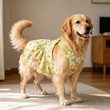 Summer Dog Dress with Shoulder Straps for Medium to Large Dogs