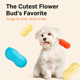 Squeaky Peanut-Shaped Dog Toy