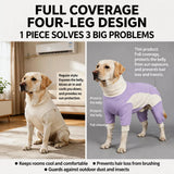 Summer Dog Clothing for Outdoor Wear