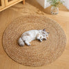 PawMerry Cat Furniture collection banner