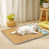 Cat Supplies collection banner