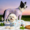 PawMerry pet clothing and accessories collection banner