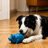 PawMerry Dog Supplies collection banner