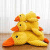 Dog Toys collection banner