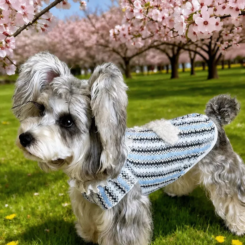 PawMerry Everyday Clothing collection banner