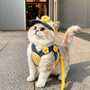 PawMerry harnesses collection banner