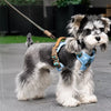 Leash Training collection banner