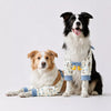 PawMerry Outdoor Clothing collection banner